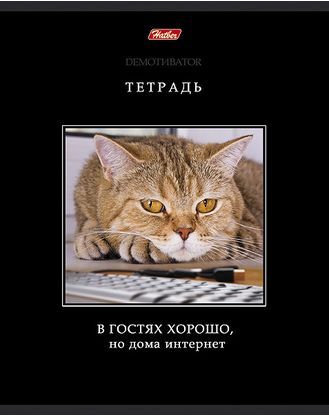 Тетрадь 